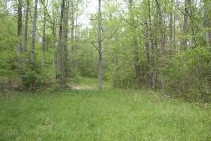 /international/us/nc-2847-marble-falls-ar-110094080585/