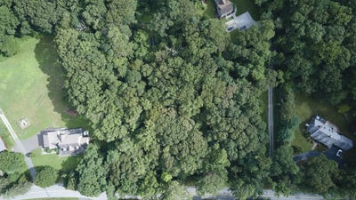 /international/us/86-bushy-hill-road-essex-ct-110107504971/