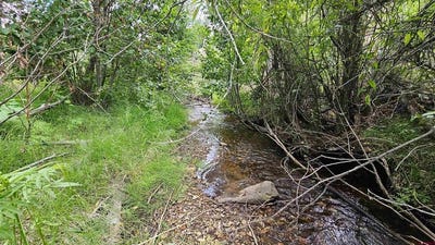 /international/us/175-bear-cub-hollow-south-fork-co-110097655846/
