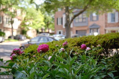 /international/us/3816-usher-court-alexandria-va-110100880471/?lang=it