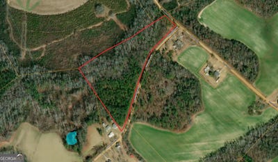 /international/us/10-86-acres-lo-herman-dollar-adrian-ga-110101477509/?lang=de