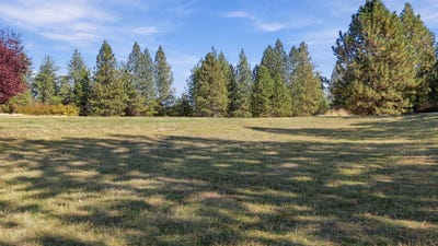 /international/us/n-wheat-crest-ln-spokane-wa-110110390877/