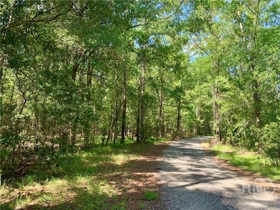 /international/us/lake-no-no-road-lot-016-midway-ga-110120069766/
