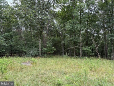 /international/us/9-31-ac-pine-tree-drive-bloomery-wv-110100965915/?lang=zh-tw