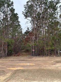 /international/us/223-hill-road-lyons-ga-110096803162/?lang=zh-tw