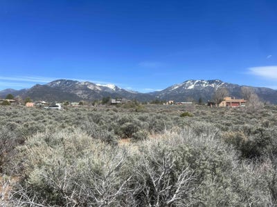 /international/us/37-mariposa-arroyo-seco-nm-110083914043/?lang=zh-tw