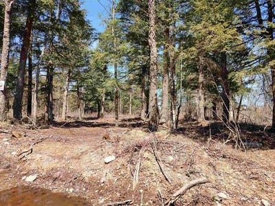 /international/us/tbd-black-creek-west-road-skanee-mi-110101858032/