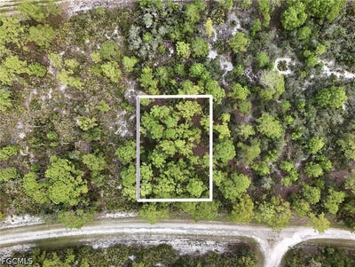 /international/us/1137-redbird-street-lake-placid-fl-110120112761/