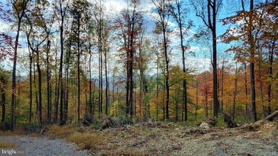 /international/us/4460-middlepoint-road-myersville-md-110106254457/