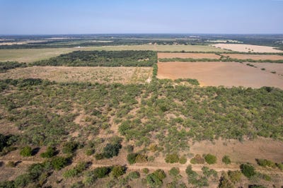 /international/us/454-cr-196-gorman-tx-110119749575/