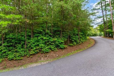 /international/us/laurel-creek-trail-lot-9-blue-ridge-ga-110108173157/