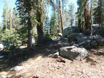 /international/us/kitch-trail-tamarack-ca-110100757123/