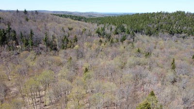 /international/us/co-rd-510-ishpeming-mi-110108228050/