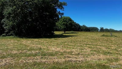 /international/us/0-s-mill-creek-rd-17-acres-see-exhibit-a-new-florence-mo-110108773428/