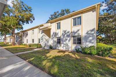 /international/us/219-palmetto-court-oldsmar-fl-110107775259/