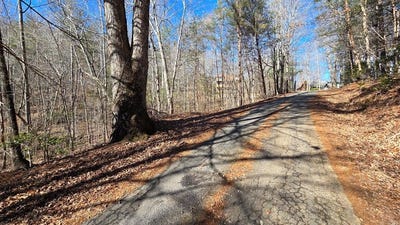 /international/us/lt-11-mountain-laurel-est-young-harris-ga-110105884545/