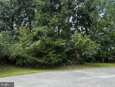 /international/us/reachcliff-drive-shepherdstown-wv-110102090135/