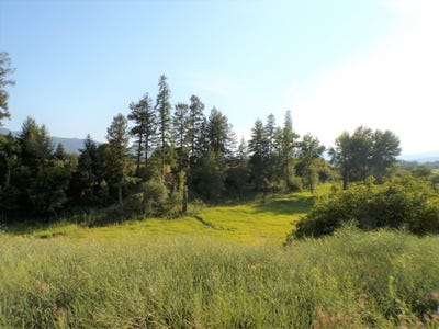 /international/us/781-h-hwy-395-kettle-falls-wa-110091578161/