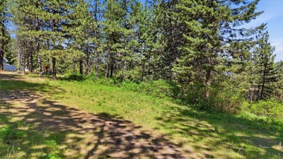 /international/us/12703-s-alpine-fern-rd-rockford-wa-110107841845/