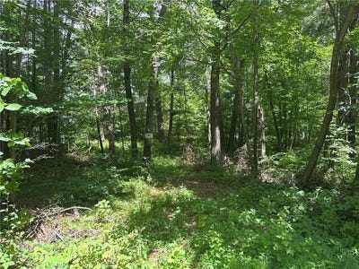/international/us/33073-aspen-lane-motley-mn-110100993958/?lang=zh-tw