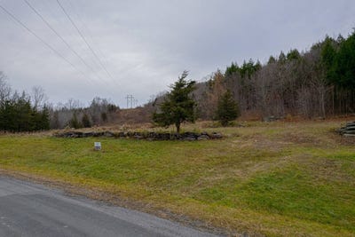 /international/us/326-deer-lane-lexington-ny-110106147055/