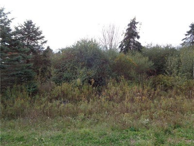/international/us/woodcrest-drive-lot-4-painted-post-ny-110102973432/