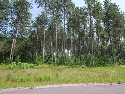 /international/us/lot-7-two-sisters-court-stevens-point-wi-110100926907/?lang=zh-tw