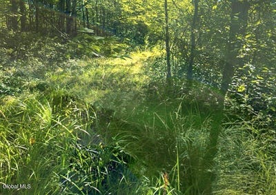 /international/us/l12-3-humphrey-road-fultonville-ny-110101501131/