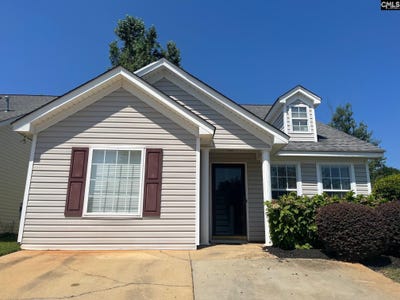 /international/us/100-recluse-street-chapin-sc-110101090312/