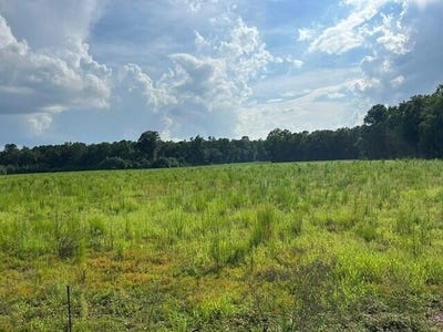 /international/us/7-mile-road-lot-2-harleyville-sc-110109702046/