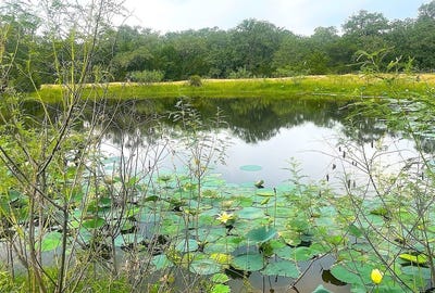 /international/us/5085-county-road-16-hallettsville-tx-110105417352/
