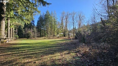 /international/us/nw-wilson-river-hwy-gales-creek-or-110100968887/
