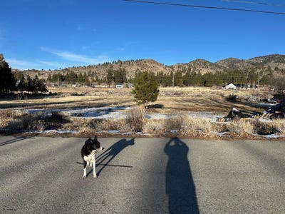 /international/us/12-wrangler-trail-lot-88-loyalton-ca-110096747125/