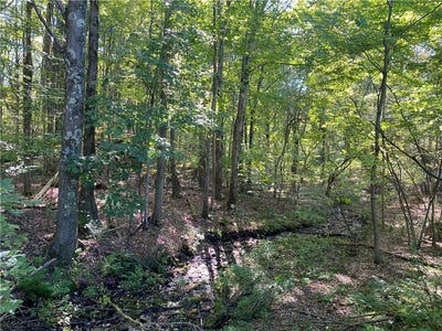 /international/us/carlyn-drive-saegertown-pa-110120425954/