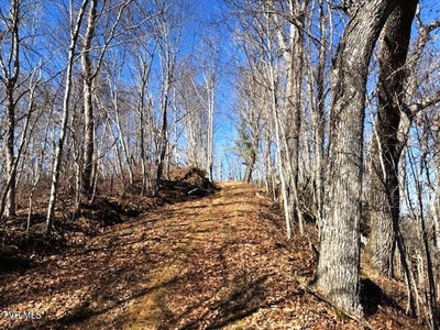 /international/us/vilas-overlook-drive-vilas-nc-110105952367/