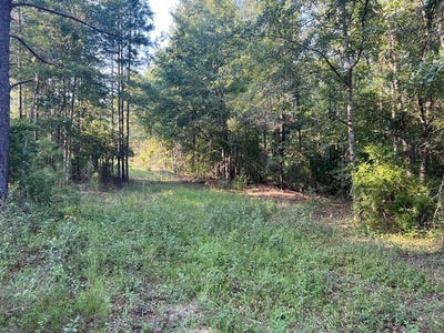 /international/us/53-hwy-clayton-al-110086192833/