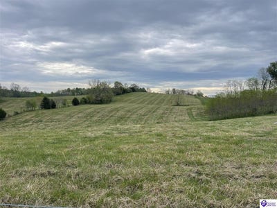 /international/us/tract-9-webster-road-campbellsville-ky-110098982983/