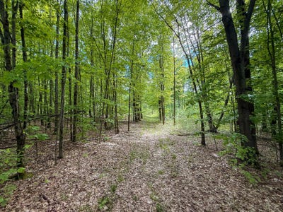 /international/us/v-l-s-deer-lake-road-reed-city-mi-110101223615/?lang=zh-tw