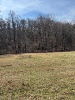 /international/us/foothills-rd-callaway-va-110108817423/