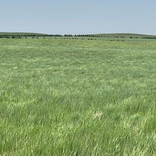 /international/us/county-road-6-kimball-ne-110100567604/