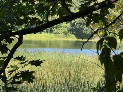 /international/us/4xyz-pinewood-court-browerville-mn-110110102563/