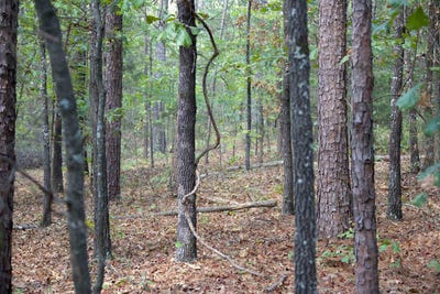 /international/us/914-park-swain-rd-grand-junction-tn-110102574221/