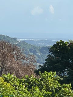 /international/us/uniba³n-morovis-pr-110120018205/