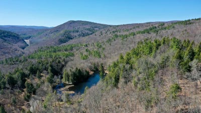 /international/us/turkey-mountain-road-jamaica-vt-110105907574/