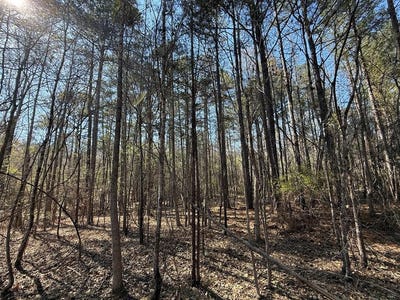 /international/us/markham-road-bradley-sc-110106556644/
