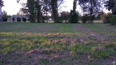 /international/us/2005-ormond-blvd-destrehan-la-110090994012/
