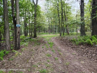 /international/us/mountain-terrace-lot-48-white-haven-pa-110101698829/
