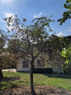 /international/us/237-greenbriar-court-euclid-oh-110101121336/