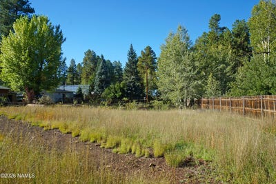 /international/us/3484-n-shoshone-street-flagstaff-az-110120109553/