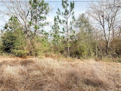 /international/us/12180-roberts-road-satsuma-al-110106728097/
